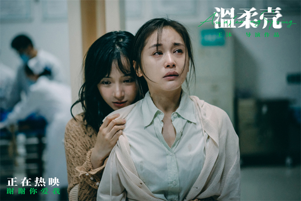 6-王子文卜冠今