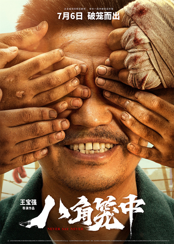 1.王宝强继《八角笼中》后再度自导自演